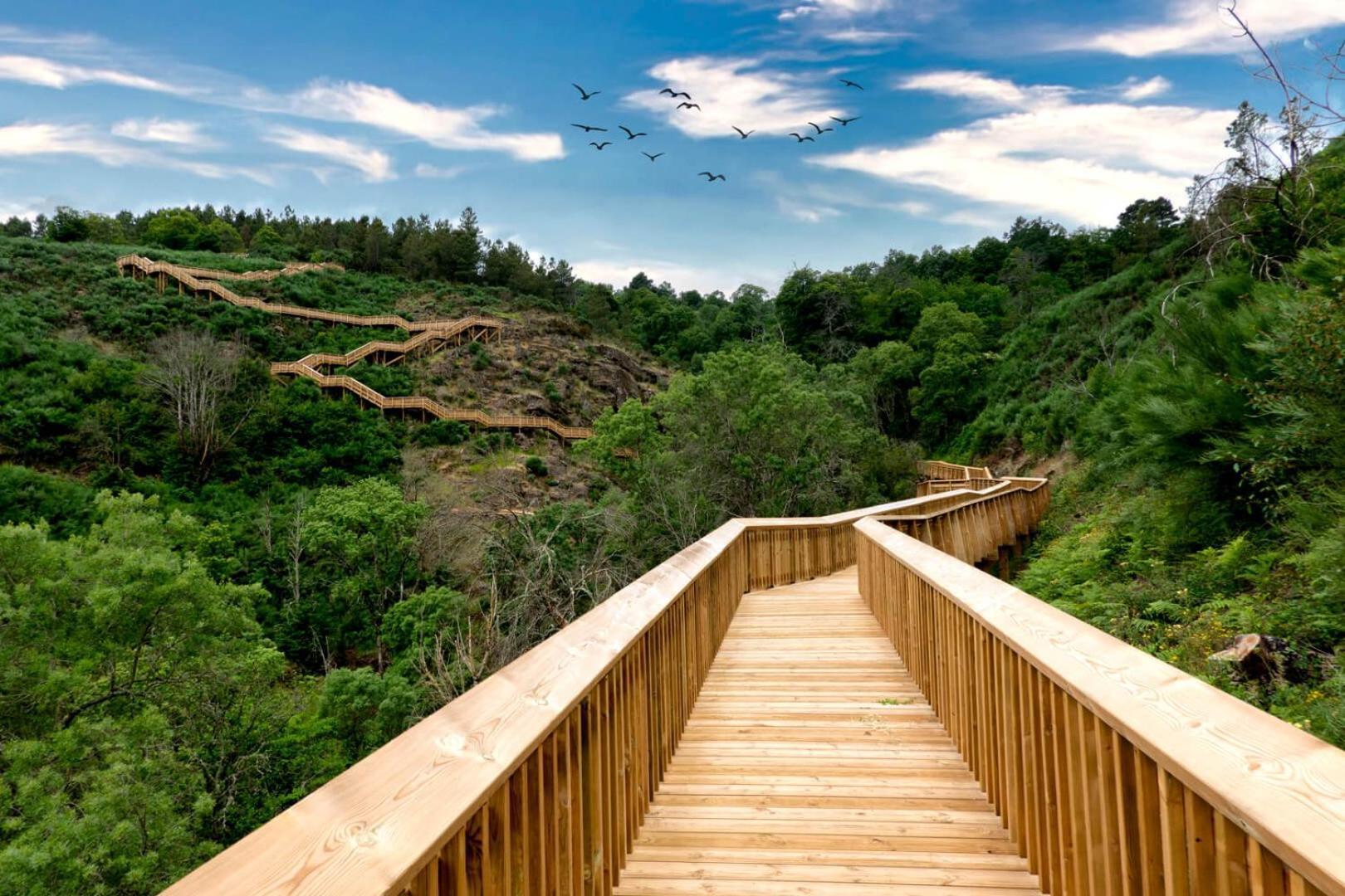 Ponte Nova Quinta Da Estrelaヴィラ エクステリア 写真